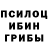 Псилоцибиновые грибы прущие грибы Efraz Amirov