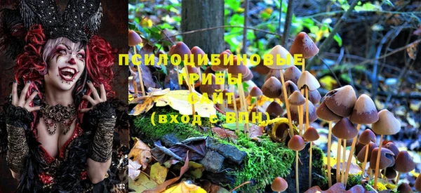 spice Волоколамск